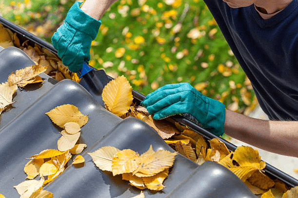 The Essential Guide to Gutter Cleaning